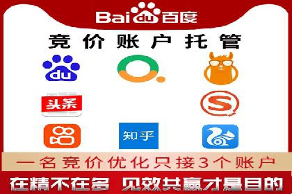 推广竞价策略优化：借鉴成功案例实现高效转化